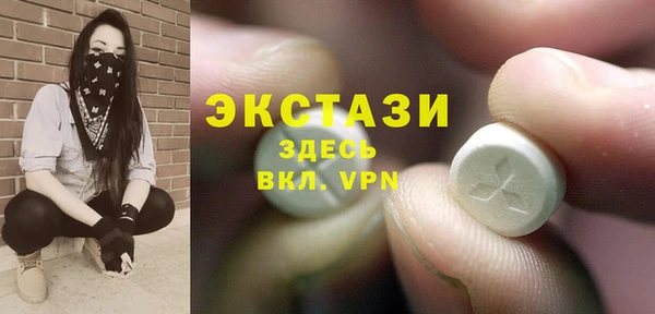 тгк Дмитриев