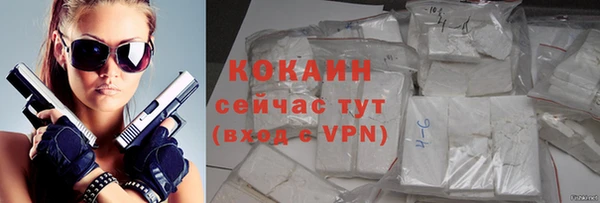 твердый Дмитровск