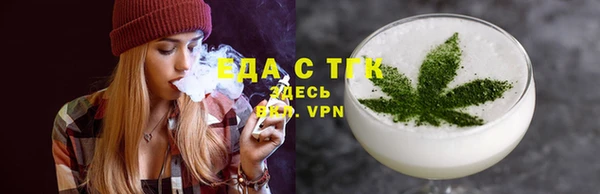 тгк Дмитриев