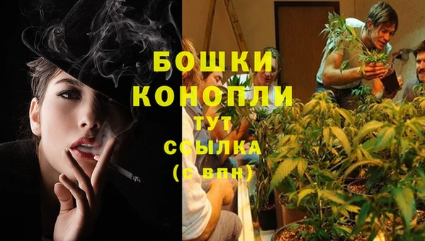 прущая мука Дмитров