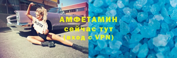 тгк Дмитриев